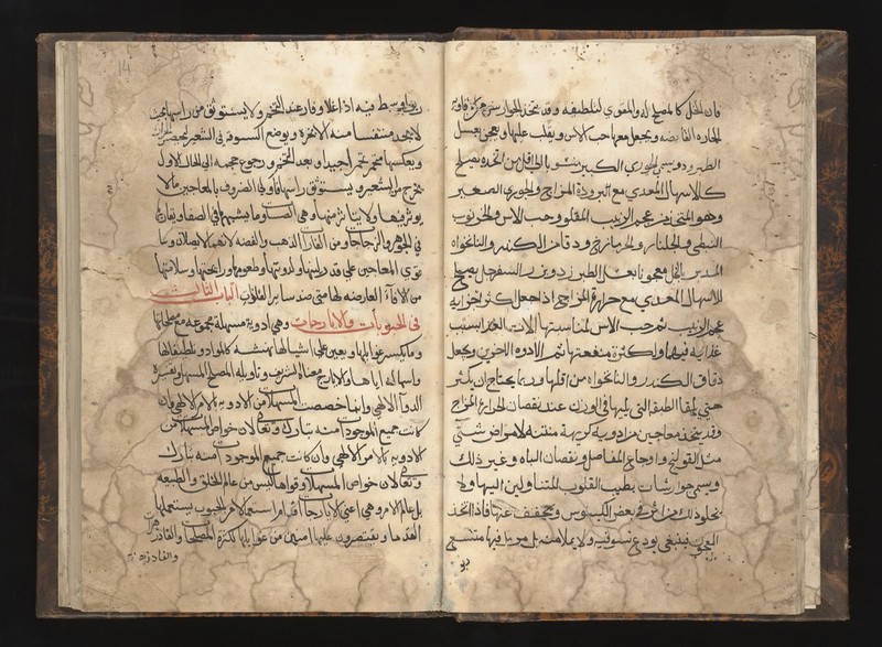 No text description is available for this image