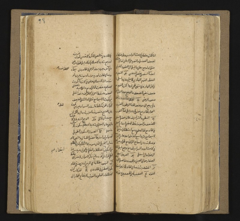 No text description is available for this image