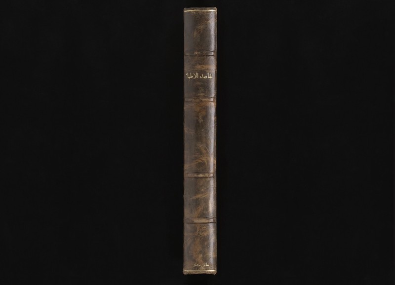 No text description is available for this image