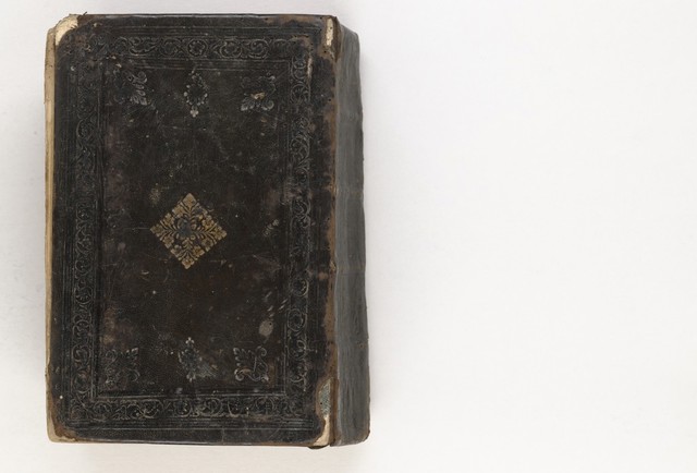 No text description is available for this image