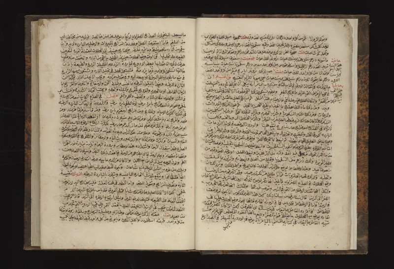 No text description is available for this image