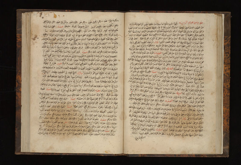 No text description is available for this image