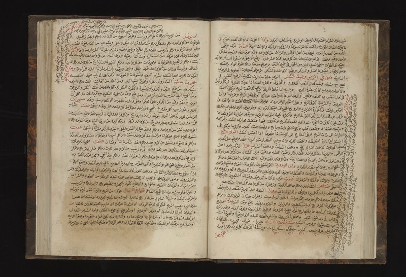 No text description is available for this image