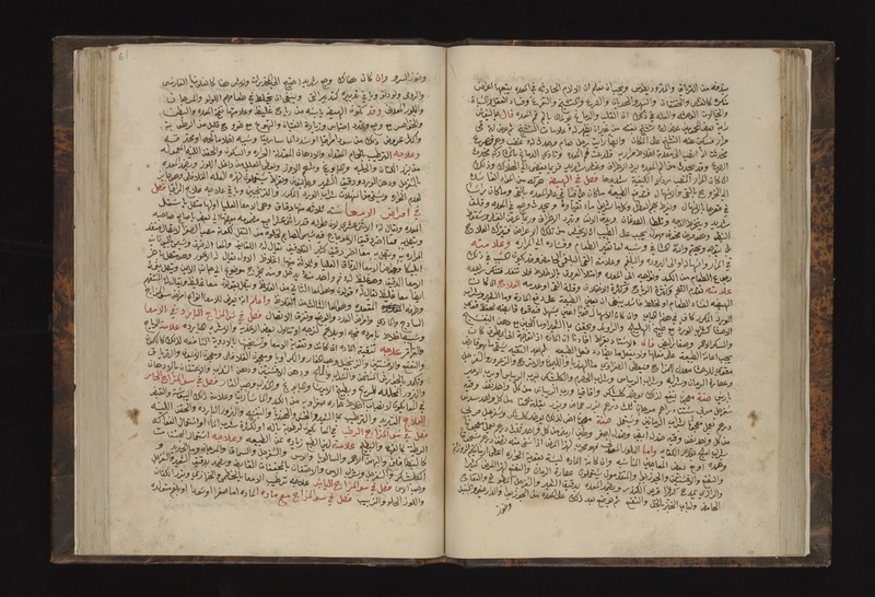 No text description is available for this image