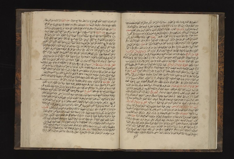 No text description is available for this image