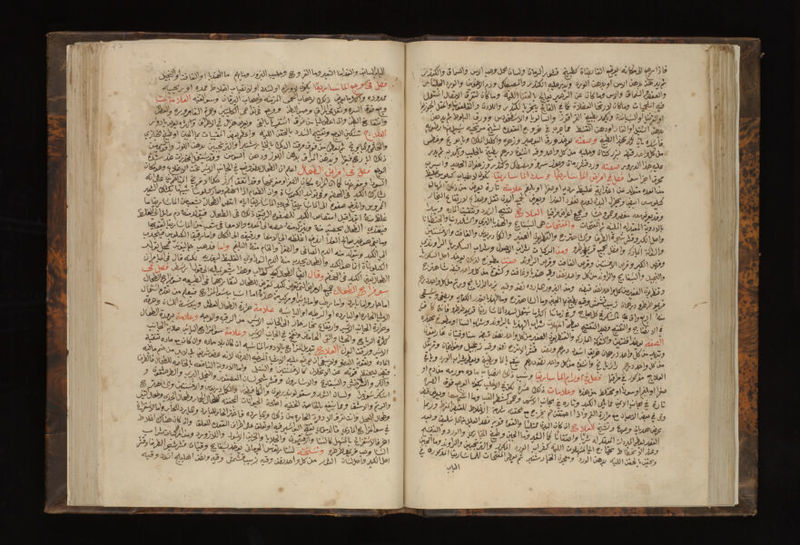 No text description is available for this image