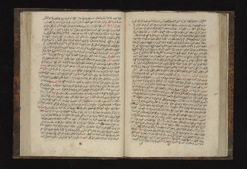 No text description is available for this image