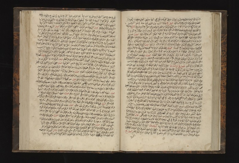 No text description is available for this image