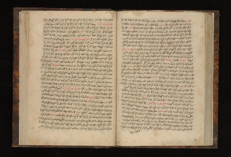 No text description is available for this image