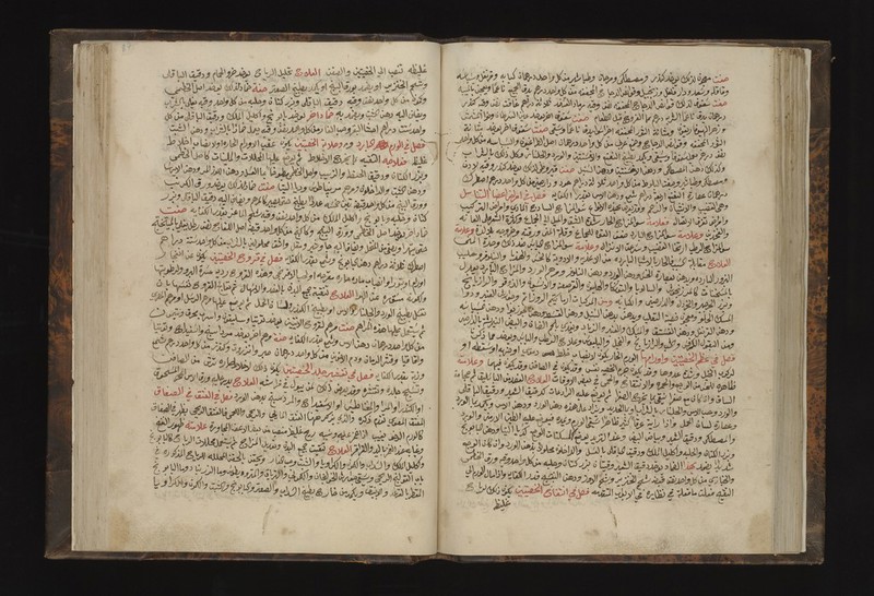 No text description is available for this image