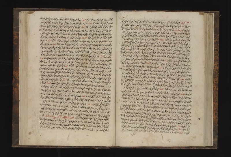 No text description is available for this image