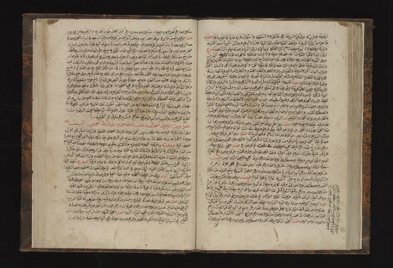 No text description is available for this image