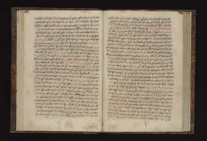 No text description is available for this image