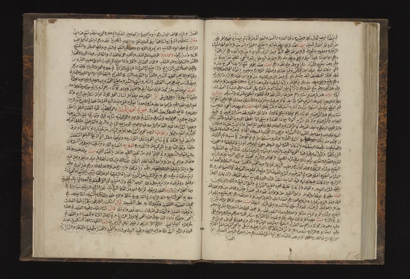 No text description is available for this image