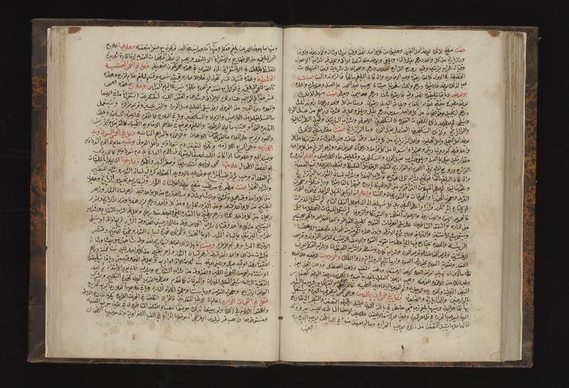 No text description is available for this image