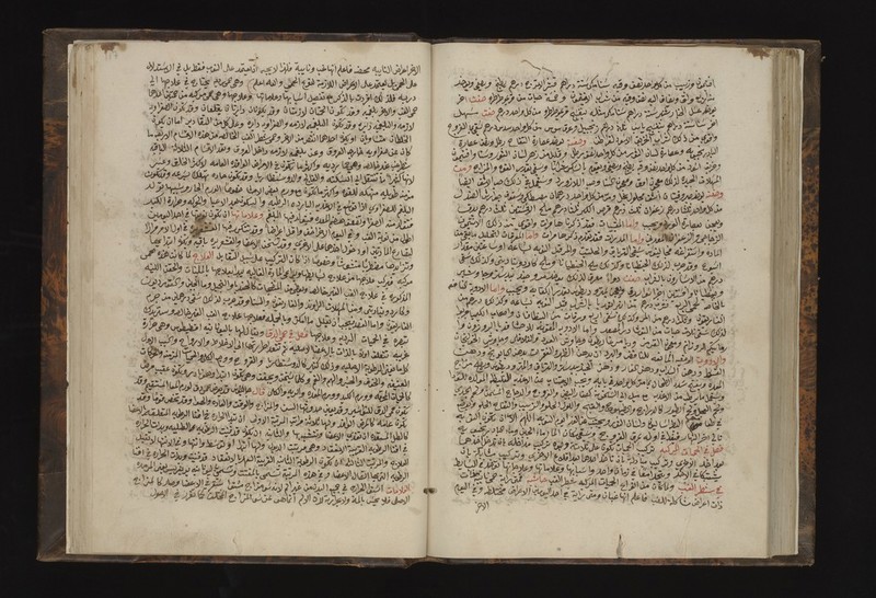 No text description is available for this image