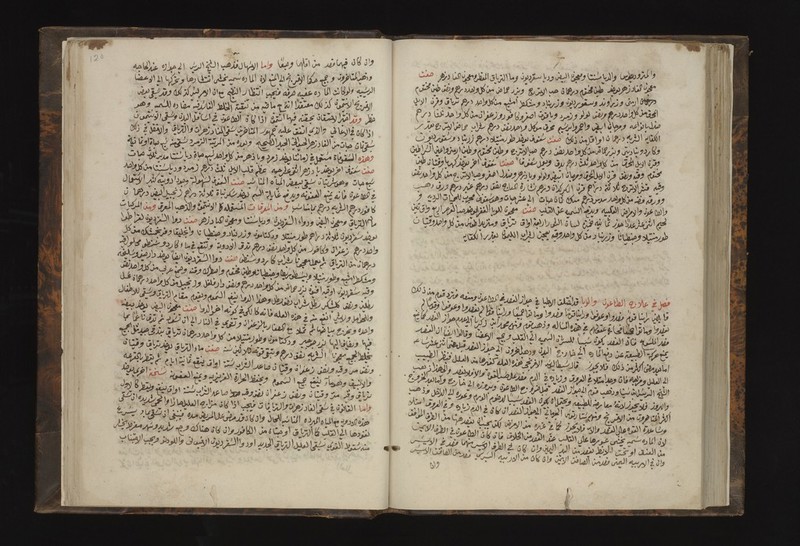 No text description is available for this image