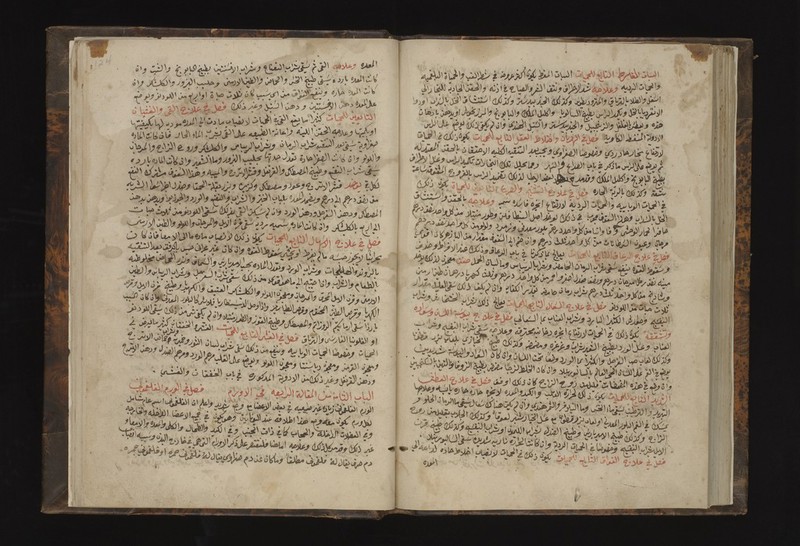 No text description is available for this image