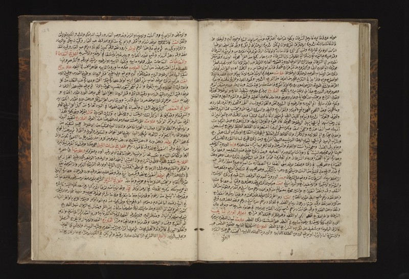 No text description is available for this image