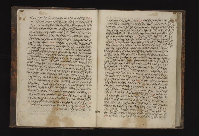 No text description is available for this image