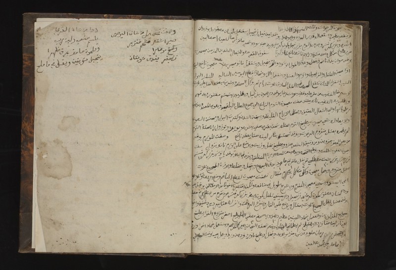 No text description is available for this image