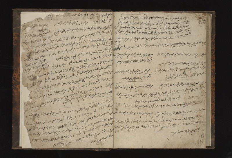 No text description is available for this image