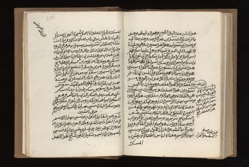 No text description is available for this image