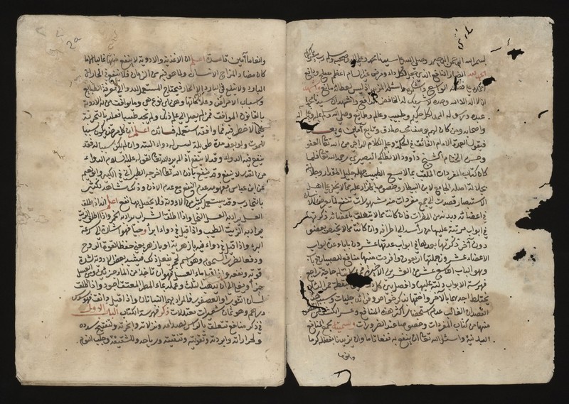 No text description is available for this image