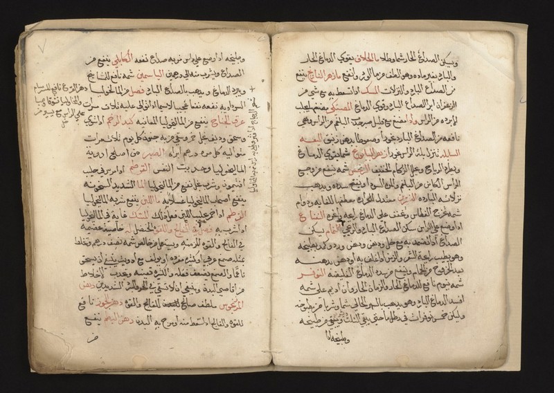 No text description is available for this image