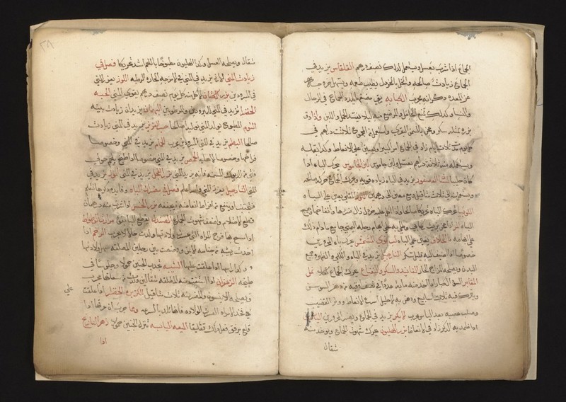 No text description is available for this image