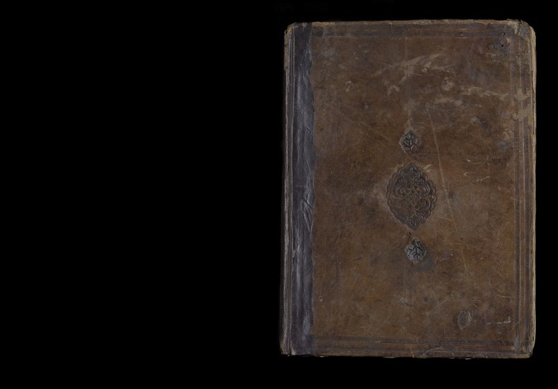 No text description is available for this image