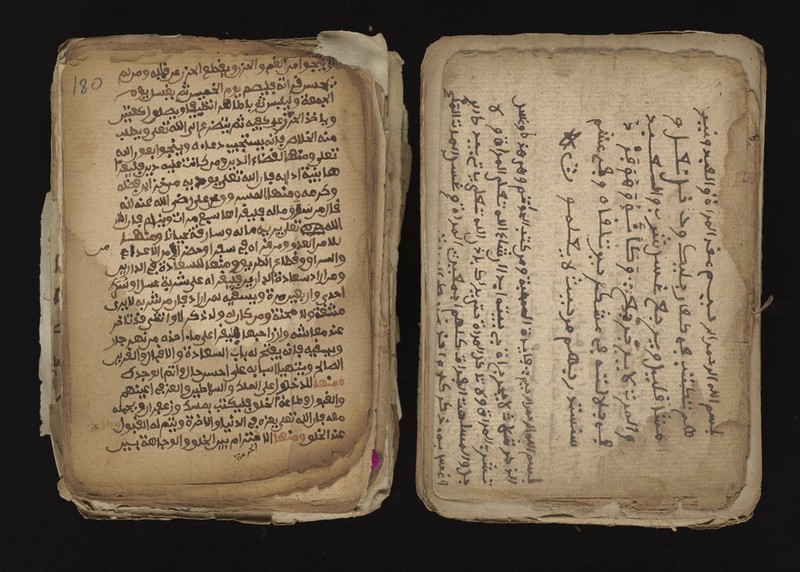 No text description is available for this image