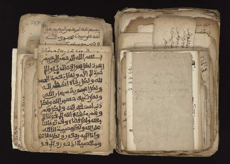 No text description is available for this image