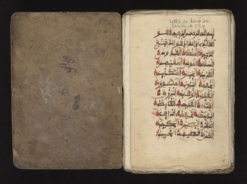 No text description is available for this image