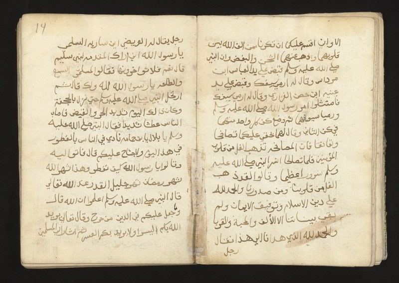 No text description is available for this image