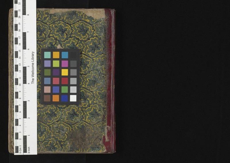 No text description is available for this image