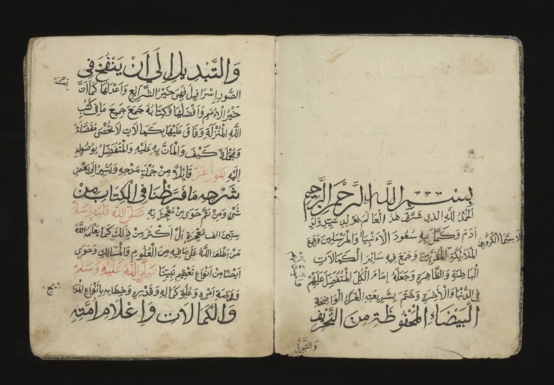 No text description is available for this image