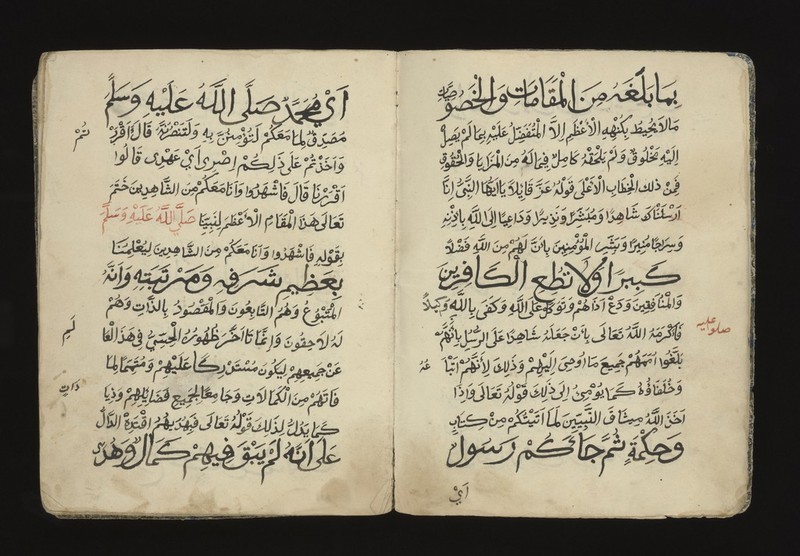 No text description is available for this image