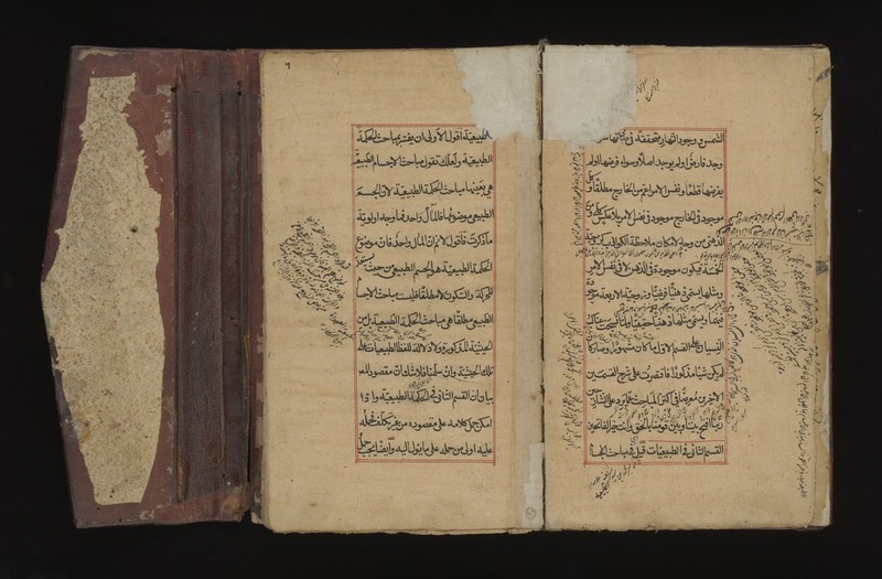 No text description is available for this image