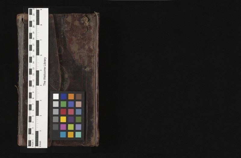 No text description is available for this image