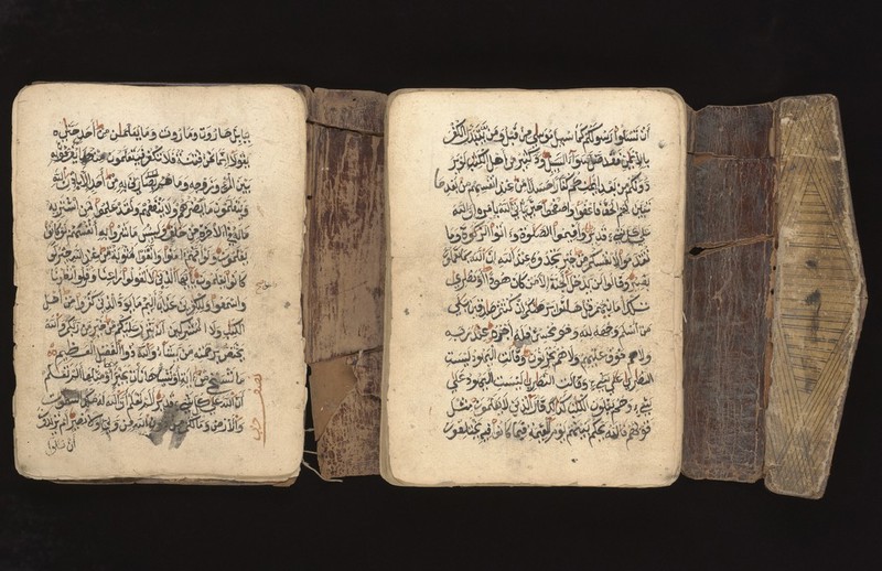 No text description is available for this image