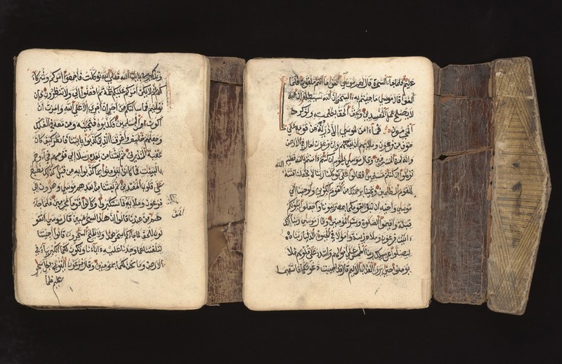 No text description is available for this image