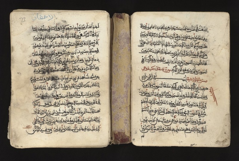 No text description is available for this image