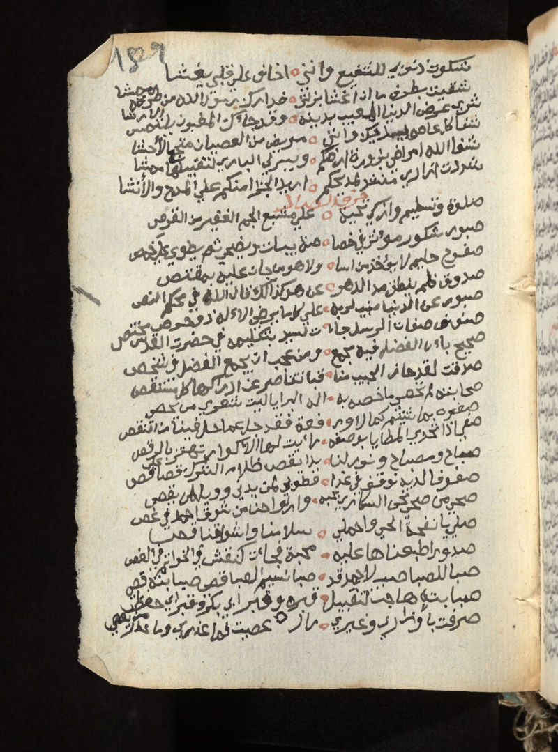 No text description is available for this image