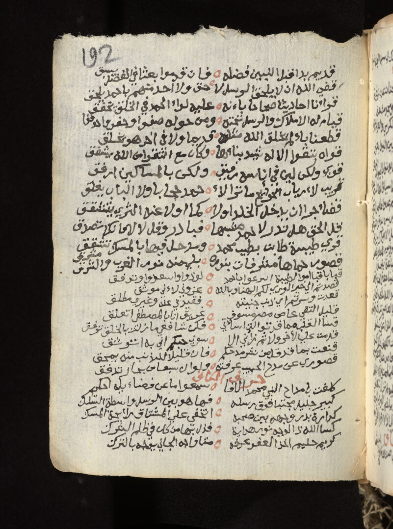 No text description is available for this image