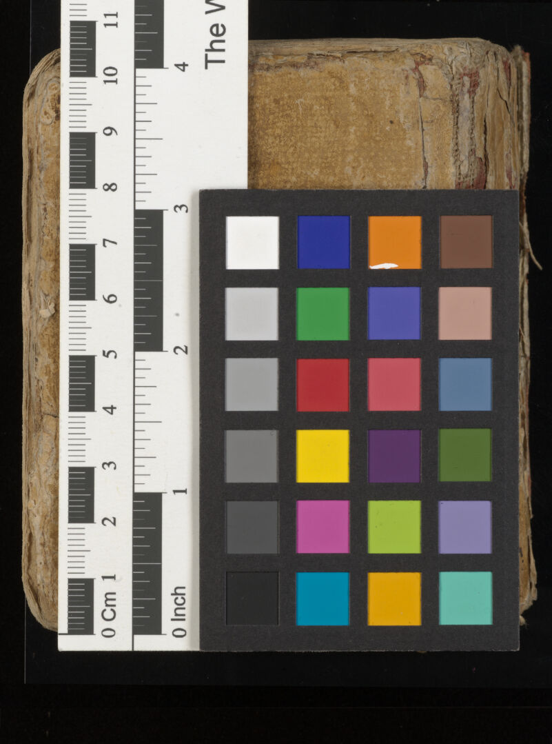 No text description is available for this image