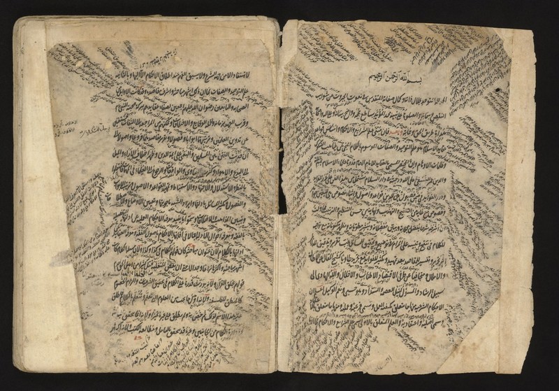 No text description is available for this image