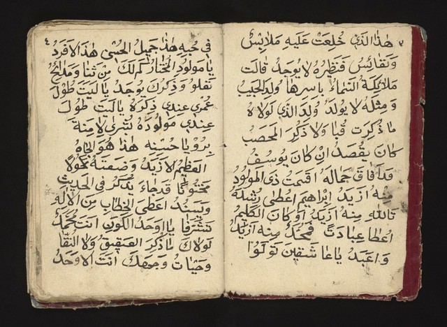 digitised image 3