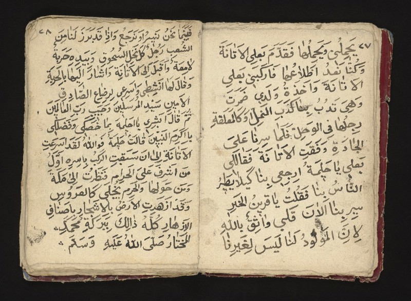 No text description is available for this image