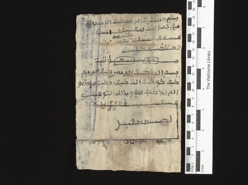 No text description is available for this image